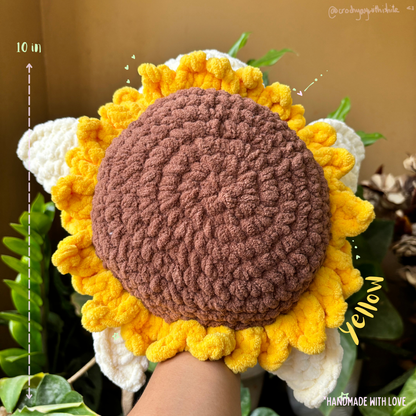 Sunflower Turtle